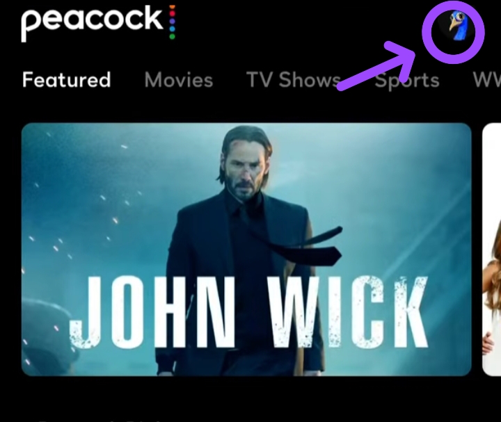 click on Profile icon  on peacock TV app to upgrade it 
